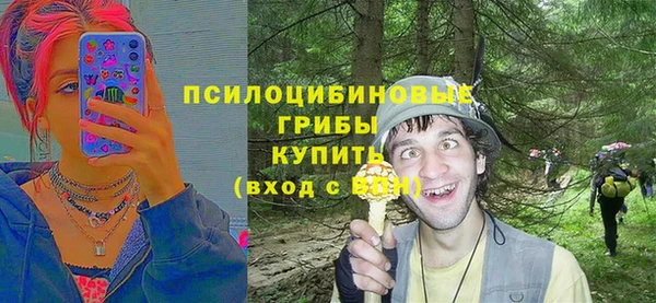 дживик Алексин